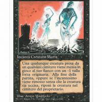 Magic The Gathering MTG  ANIMARE I MORTI MINT