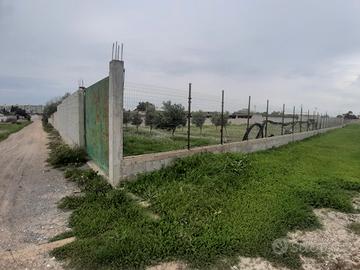 Pitz'e Serra terreno recintato