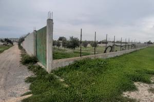 Pitz'e Serra terreno recintato