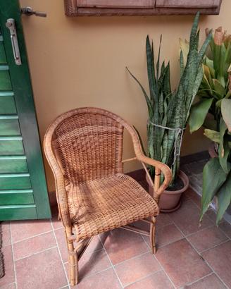 poltroncina in vimini