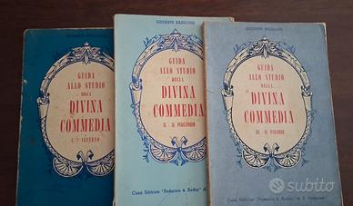 Guida allo studio della Divina Commedia 