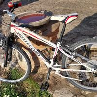 Bicicletta Bottecchia bambino