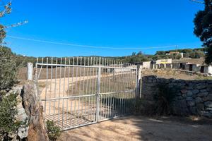 Terreno Agricolo con fabbricati