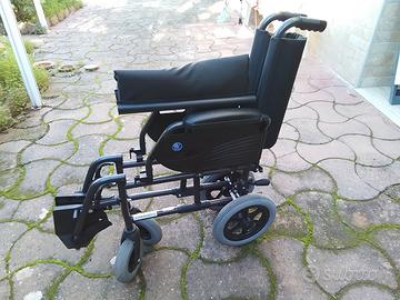 sedia a rotelle