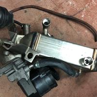 Bmw serie 1 EGR escluso