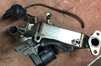 Bmw serie 1 EGR escluso