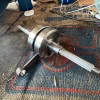 Albero top spalle piene