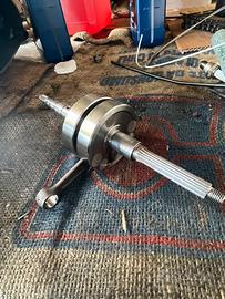 Albero top spalle piene