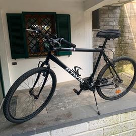 Bicicletta Rockbider