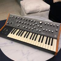🎹 Moog Subsequent 37 – Buone condizioni