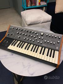 🎹 Moog Subsequent 37 – Buone condizioni