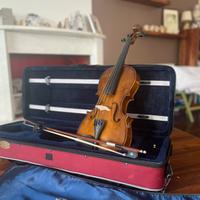 Viola stentor 4/4