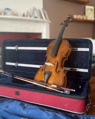 Viola stentor 4/4