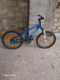 Bicicletta per Bambini / Ragazzi Giant XTC 20"