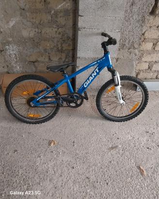 Bicicletta per Bambini / Ragazzi Giant XTC 20"