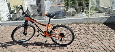 Bici Bambino Cicli Rondine VORTEX 24 