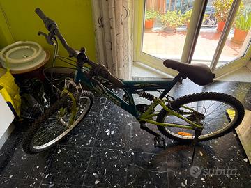 Bicicletta Mountain bike