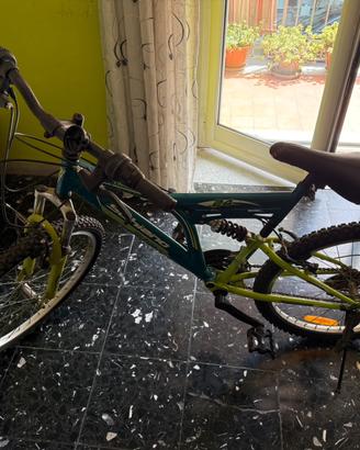 Bicicletta Mountain bike