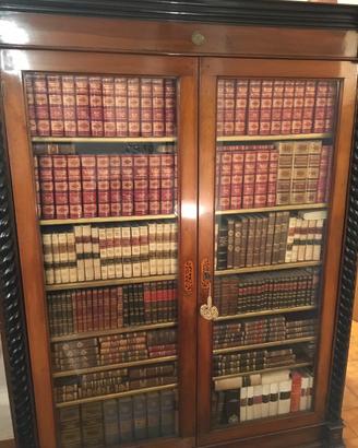 Libreria antica 2 ante