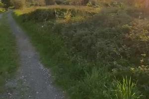 Terreno edificabile 3.500Mq.con rudere