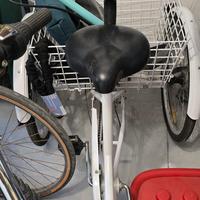 Bicicletta a tre ruote