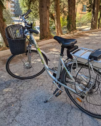 Bicicletta elettrica con batteria da sostituire 