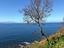 Immagine 25