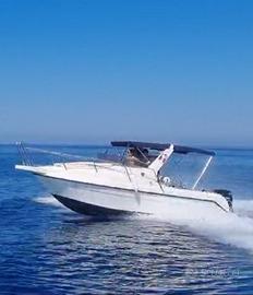 Barca semicabinata 6.20