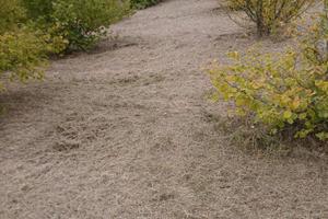 Terreno micronizzato tartufo 6400mq