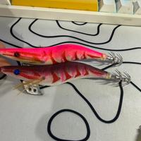 Egi Fukushima 3.5 Rosa e Rossa – NUOVE