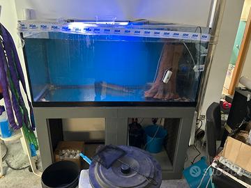 Acquario