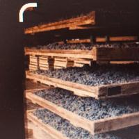 CANNICCI  per  seccare uva da VIN SANTO