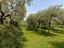 Immagine 11