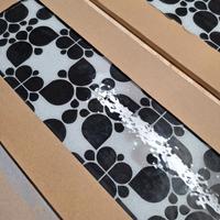 Coppia Vetri originali IKEA GYLLEN 56