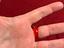 Immagine 6