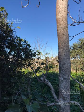 Terreno edificabile, 5 minuti a piedi dal centro - Vista 3
