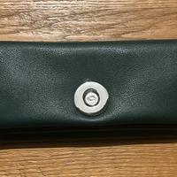 Portafoglio donna verde Carpisa