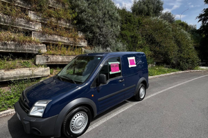 Ford transit connect 1900 2006