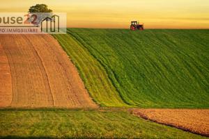 LOTTO DI TERRENO per costruzione villa di mq. 320,