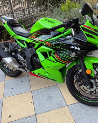 Kawasaki Ninja 125 Marzo 2025 1000 km