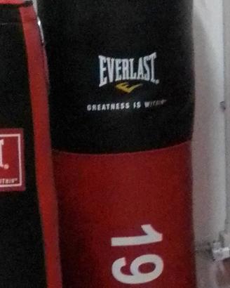 sacco everlast nuovo kg 40