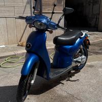 Scarabeo 50 leggi descrizione