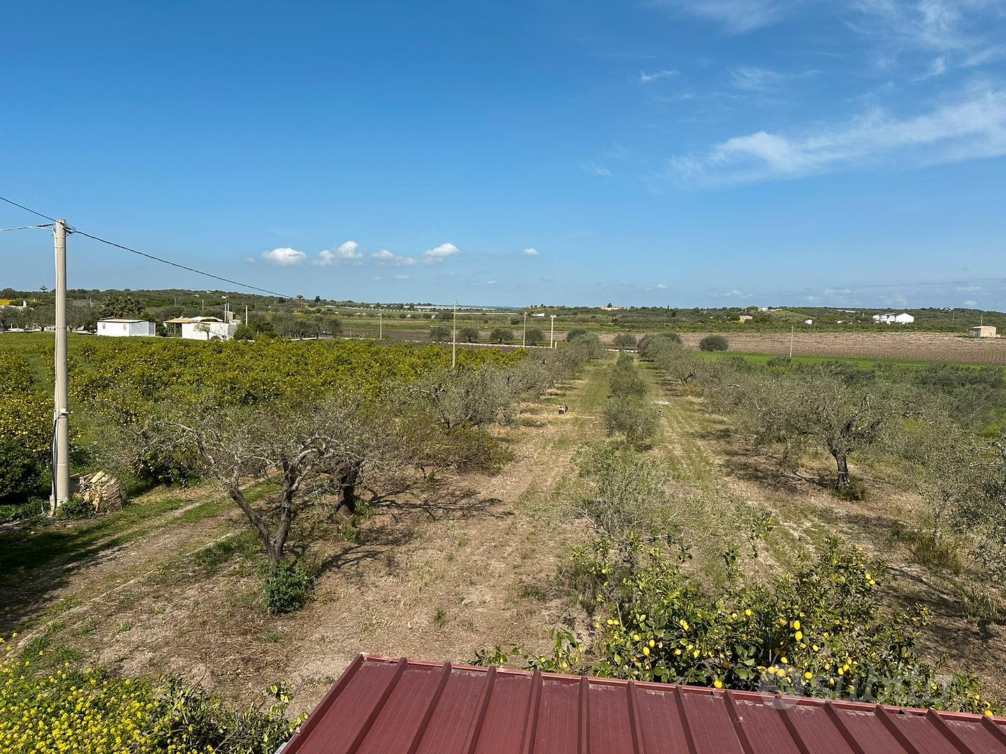Terreno di 2 ettari con casa da 60mq - Vista 5