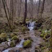 Boschi per vari utilizzi e diverse metrature
