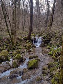 Boschi per vari utilizzi e diverse metrature