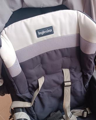 Inglesina espresso
