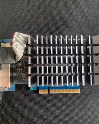 Scheda grafica ASUS NVIDIA GeForce GT 710  PCIe