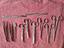Immagine 5