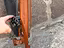 Immagine 6
