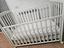 Immagine 5